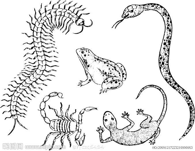 古代最邪恶的“苗疆八大巫蛊术”,这个皇帝就是因他家破国亡