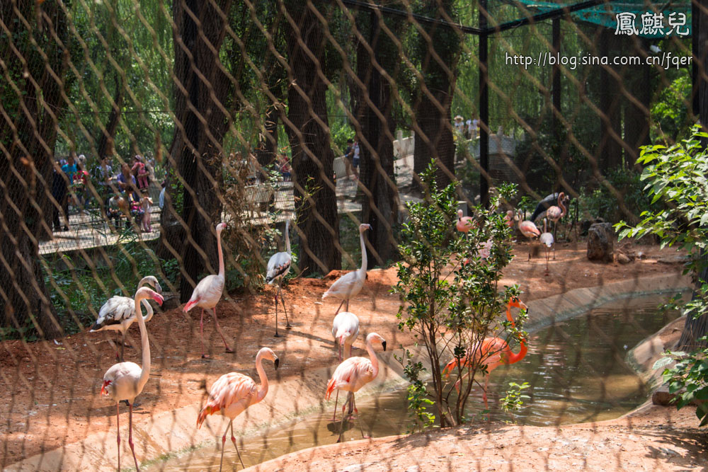 ​[凤麒儿]北京动物园——与动物的亲密接触