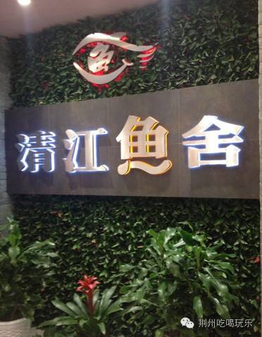 湖北荆州海洋世界美人鱼,十大绝美美人鱼