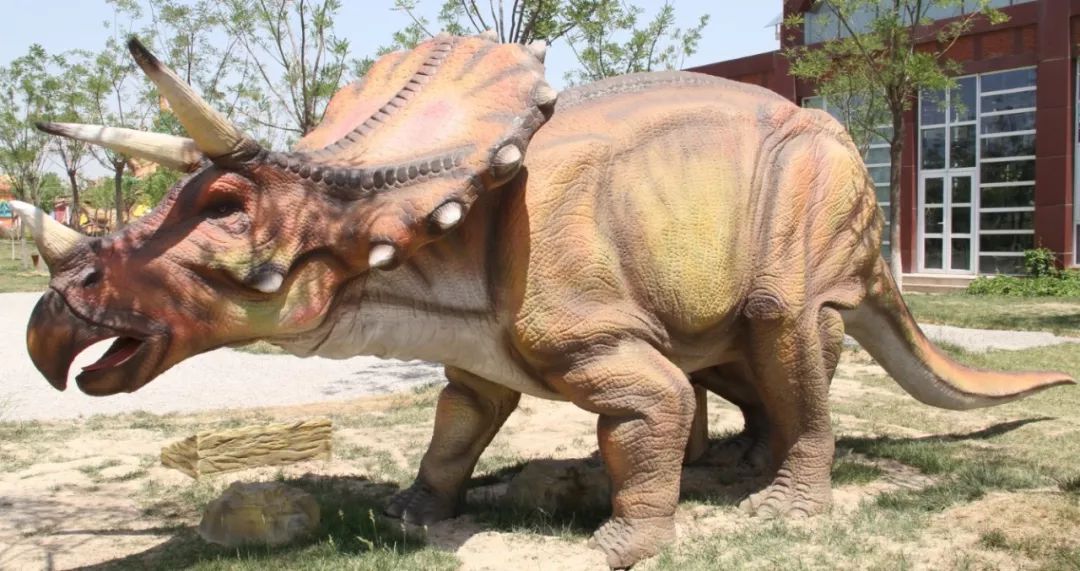 动物们嗷嗷待哺，在北京周边这个度假区里，你就是饲养员！