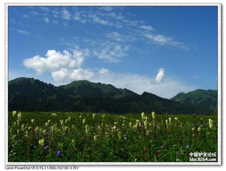 梦里花开——*疆新**，又一次的心动