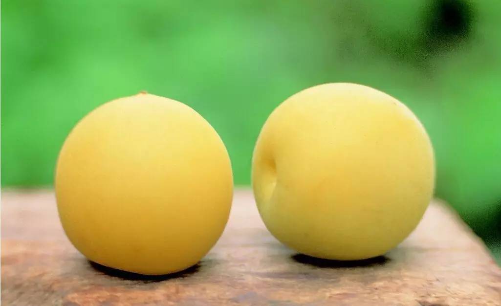 原来这些食物都可以治病,这些食物竟然能治病