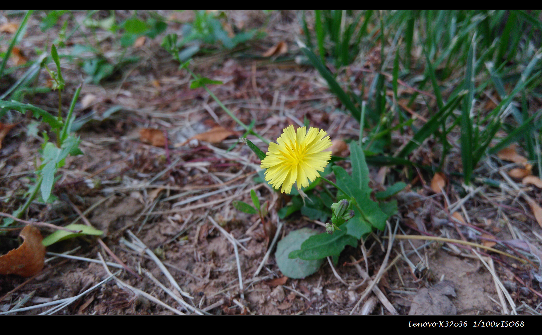 联想乐檬3的功能,乐檬3