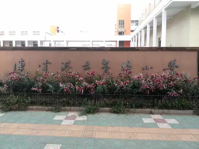 连云港人挤破头都想进的19所学校！从幼儿园到高中，全在这！