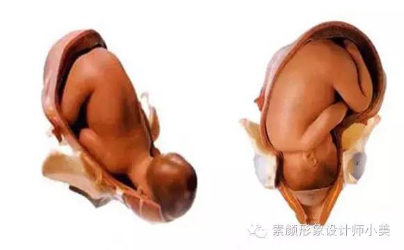 孕育课,孕育课堂分享