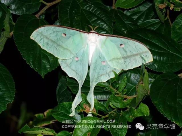 带小孩出去玩要小心一些什么虫,虫子带孩子去哪里玩比较好