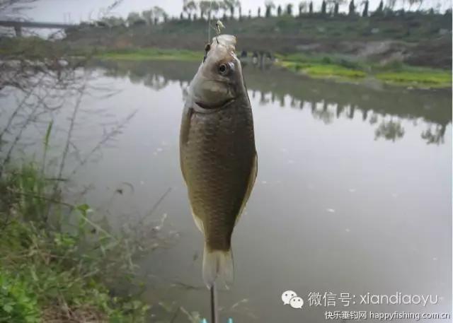 西安灞河钓鱼钓点,灞河路亚白条的钓点