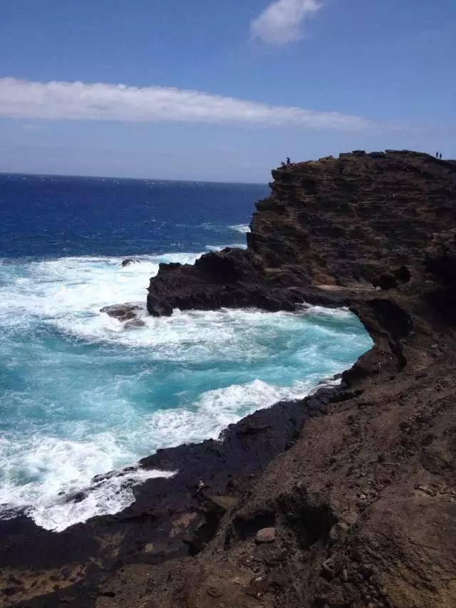 夏威夷和周冬雨,余文乐周冬雨夏威夷