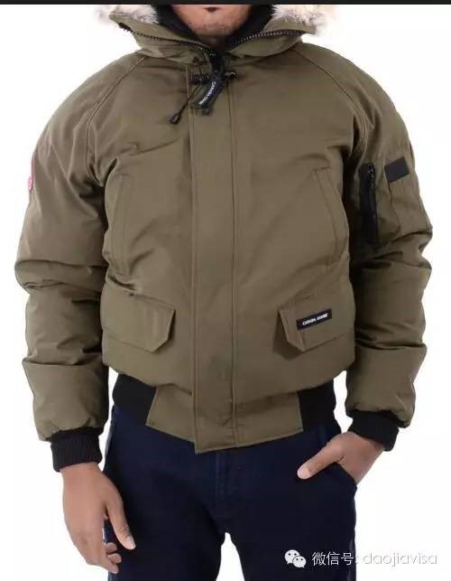 AllaboutCanadaGoose关于加拿大鹅的