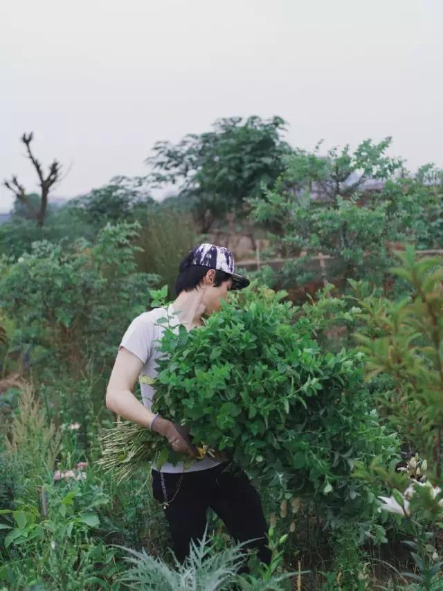 这个男孩子回家租了快地，过起了归园田居的日子
