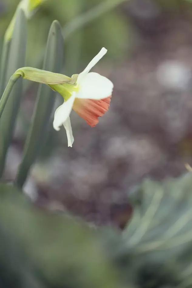 这个男孩子回家租了快地，过起了归园田居的日子