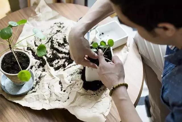 生活中的数字元素,无处不在的自然元素