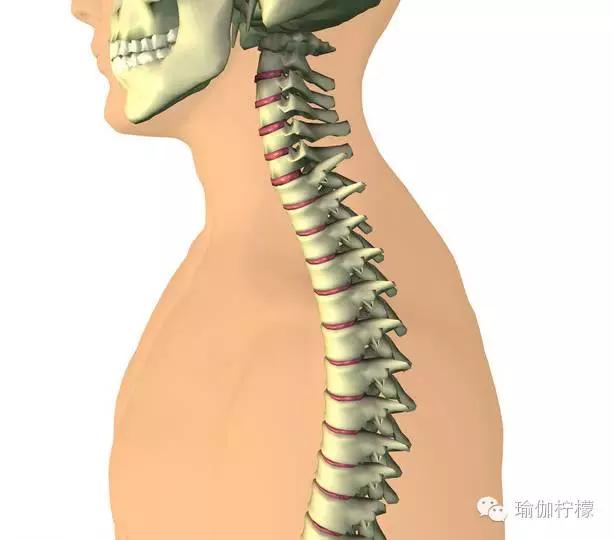 瑜伽会导致脖子疼吗,练完瑜伽后脖子疼怎么办