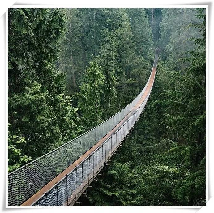 一块钱到达美国,一万块钱可以去加拿大吗