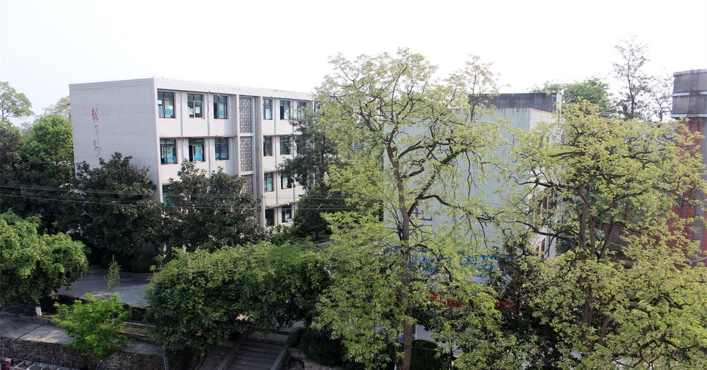 眉山龙正高中怎么样,四川眉山龙正高中