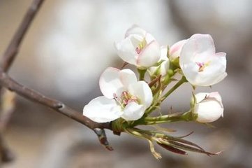 那个人走了——怀念赵西学老师