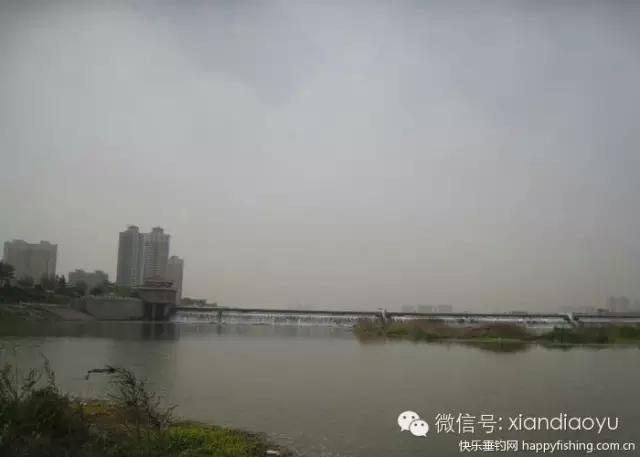 西安灞河钓鱼钓点,灞河路亚白条的钓点