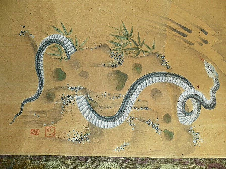 家蛇为啥不能杀,进家蛇为什么不能碰