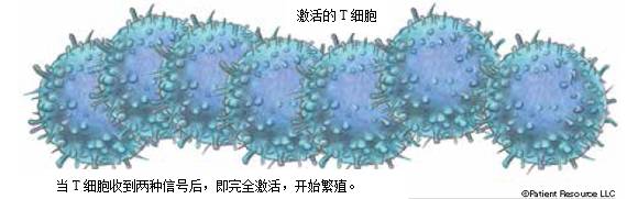 癌症做免疫组化的意义,癌症细胞免疫治疗