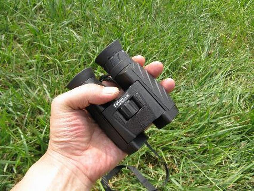 视得乐4471望远镜怎么样,德国视得乐望远镜10倍真假鉴别