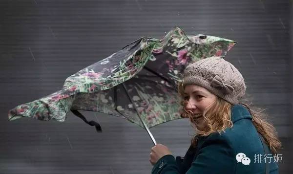 日本皇室御用雨伞,雨伞宫廷风