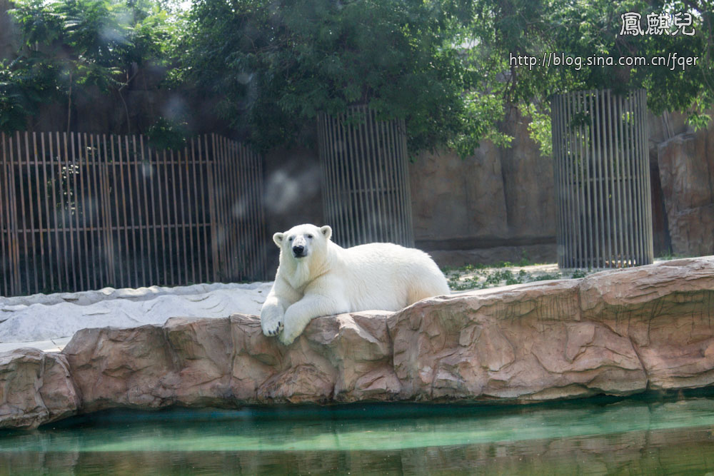 ​[凤麒儿]北京动物园——与动物的亲密接触