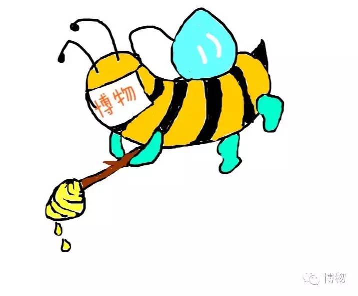 傻傻分不清楚的昆虫界cosplay