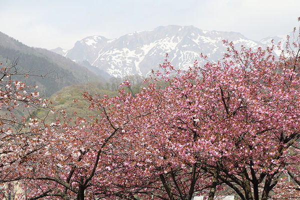 佳能高像素版eos,佳能eos80d怎么拍摄出高清的视频