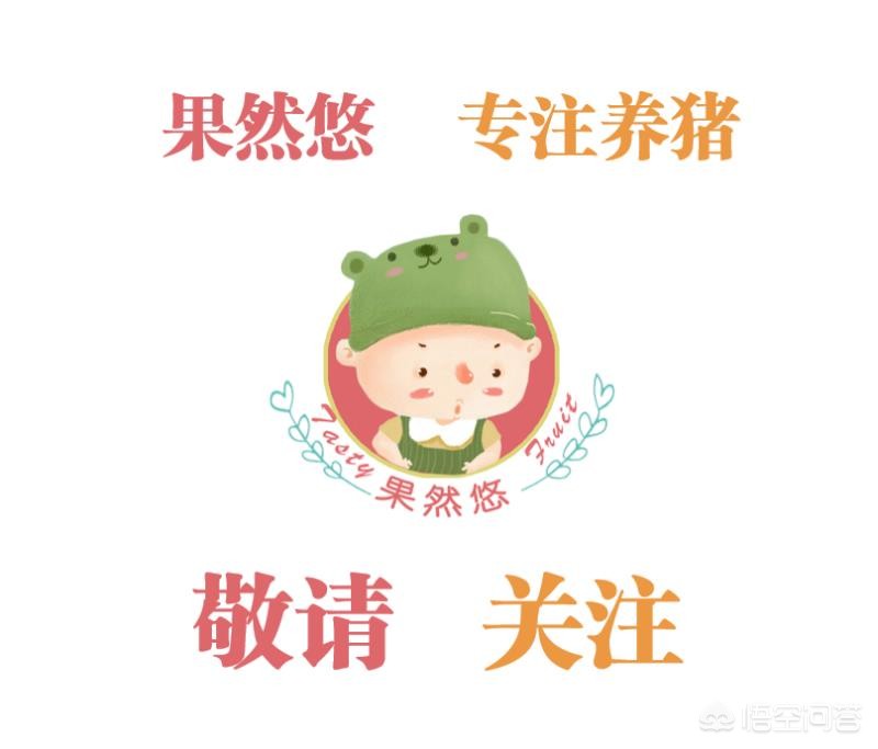 肥猪拉稀粪带血怎么治,肥猪两天不拉粪便有什么解决方法