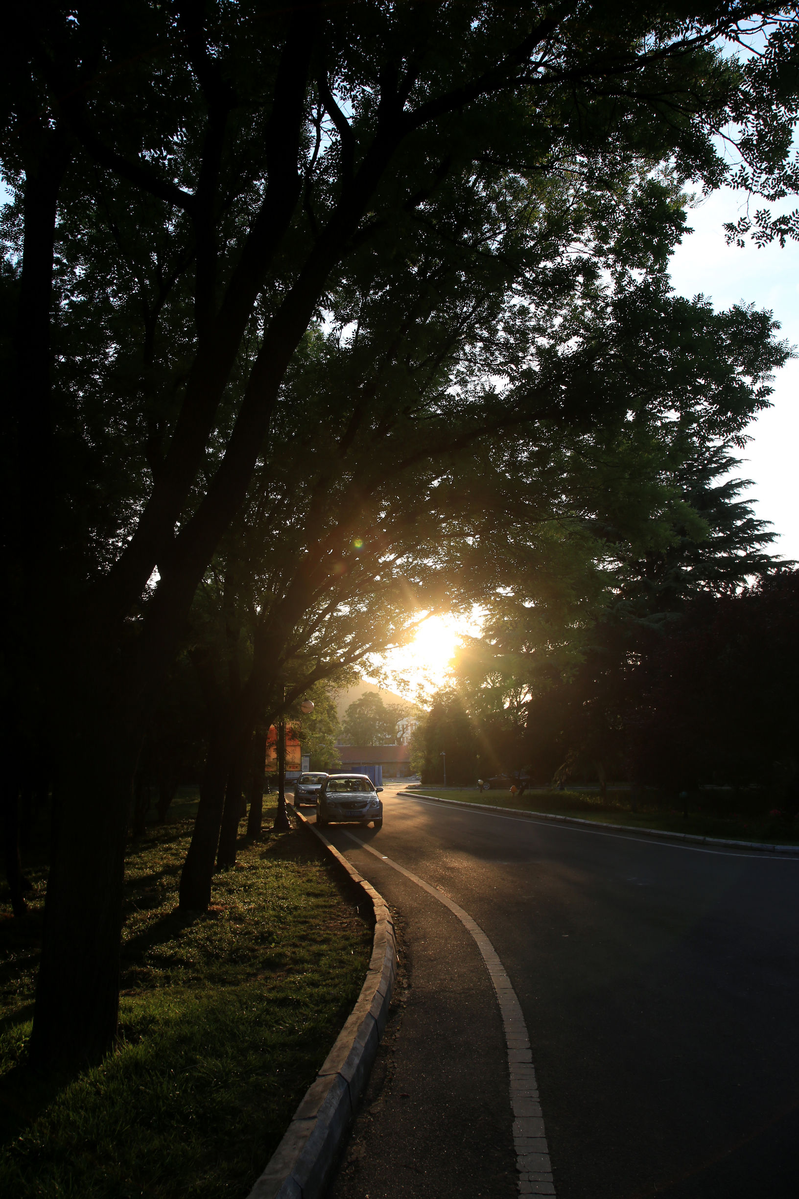南郊宾馆的风景,南郊宾馆夜景