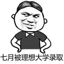 高考作文表情包和文体,高考万能作文图片