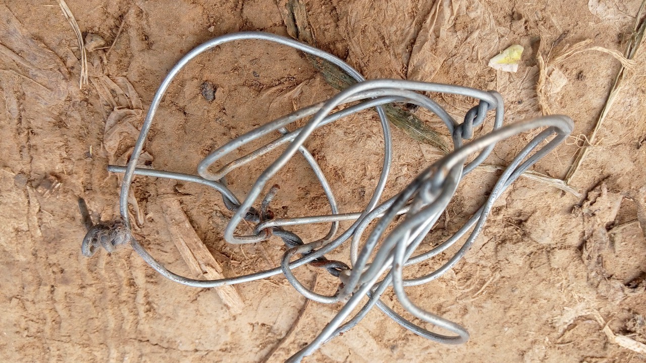 当年的偷菜游戏现在怎么玩,新出的偷菜的那个游戏叫什么