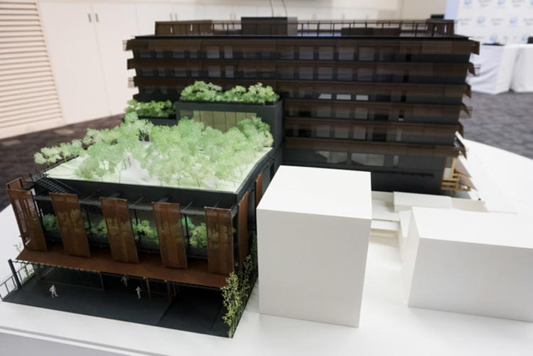 acehotel,acehotel酒店