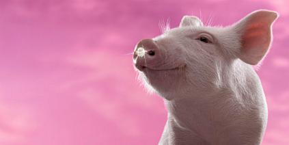 海大薛华2018年提出的要求,2018海大薛华发表文章