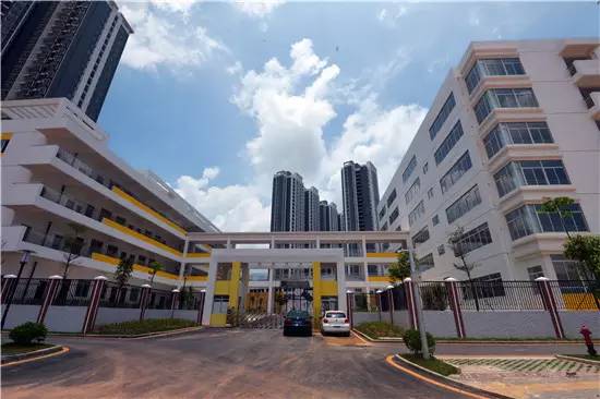 公告青秀区新添四所公办小学,今年九月招生(玉兰路小学、百花岭路小学、民主路小学佛子岭路校区、林里桥中段小学)