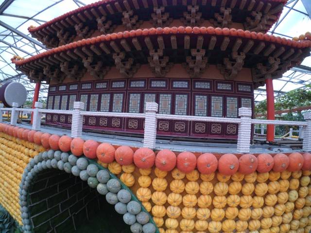 带上小蚁运动相机游潍坊（三）寿光菜博会