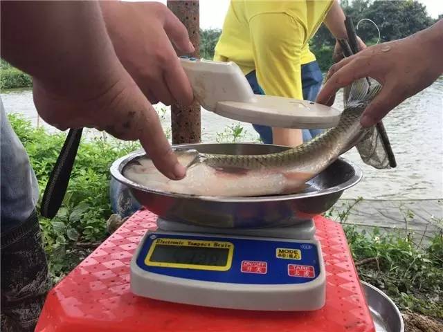 从种苗到流通，海大欲建价值链优势雄霸惠州市场