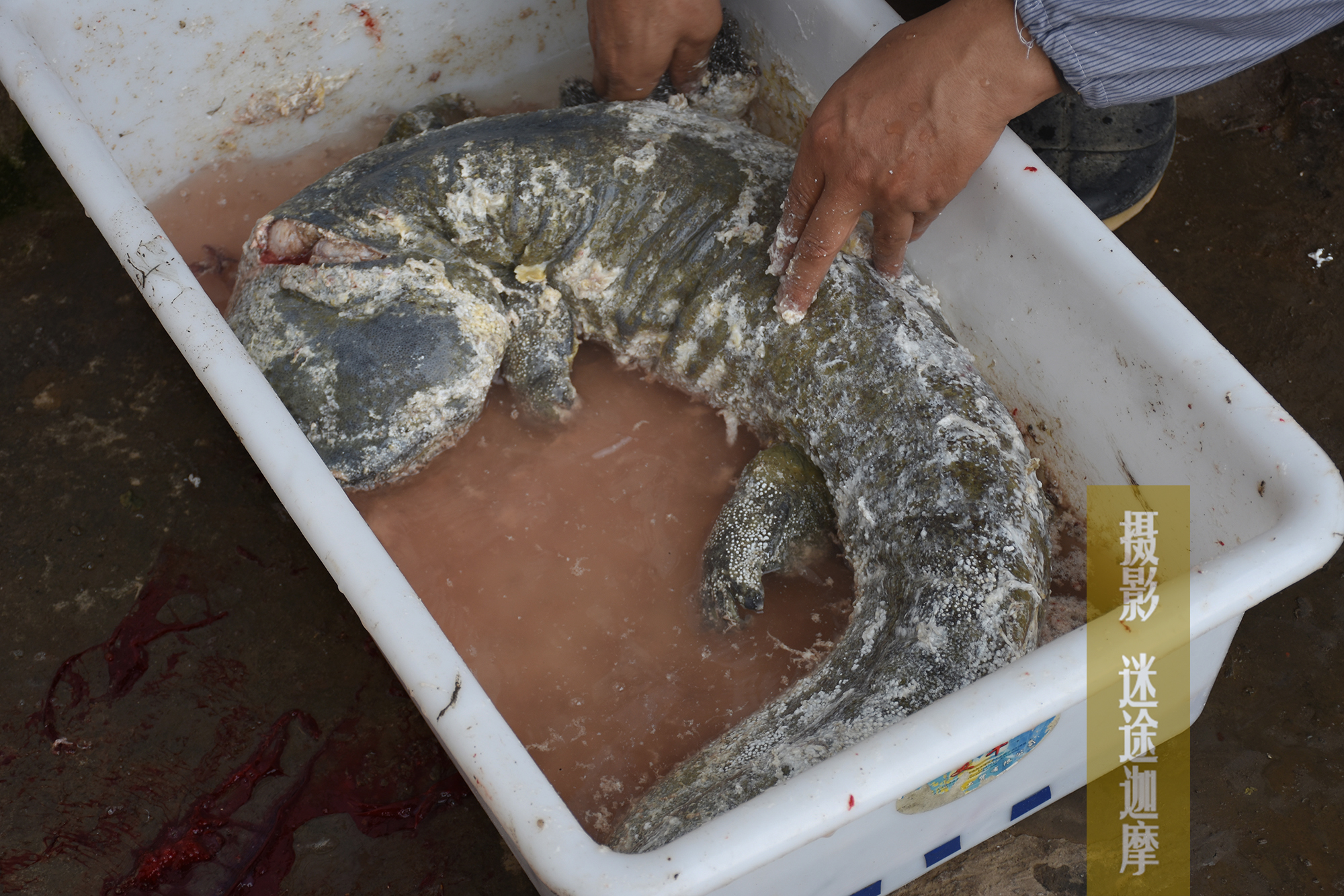 宜昌长阳古洞,宜昌长阳绝壁古洞古城堡