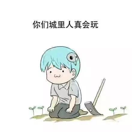 为了吃某龙，我不惜用上了某应龙