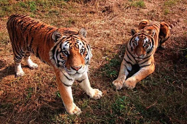 上海地铁沿线好玩的地方,上海18号线沿线景点