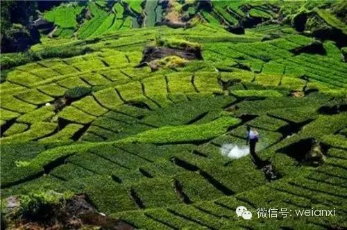 这就是传说中的安溪？是欺负我没出过门吗？