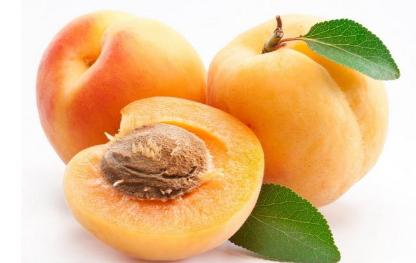 为啥说杏伤人呢,杏伤人是真是假