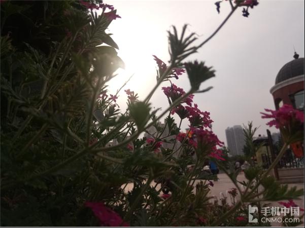 金立s6与s6pro的外观区别,二手金立s6pro开箱