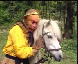 大家都在等的这个日子终于来啦!千万别错过,下次要等到2028年