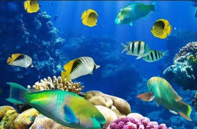 2021上海经济16区排名,上海经济最强的30个镇