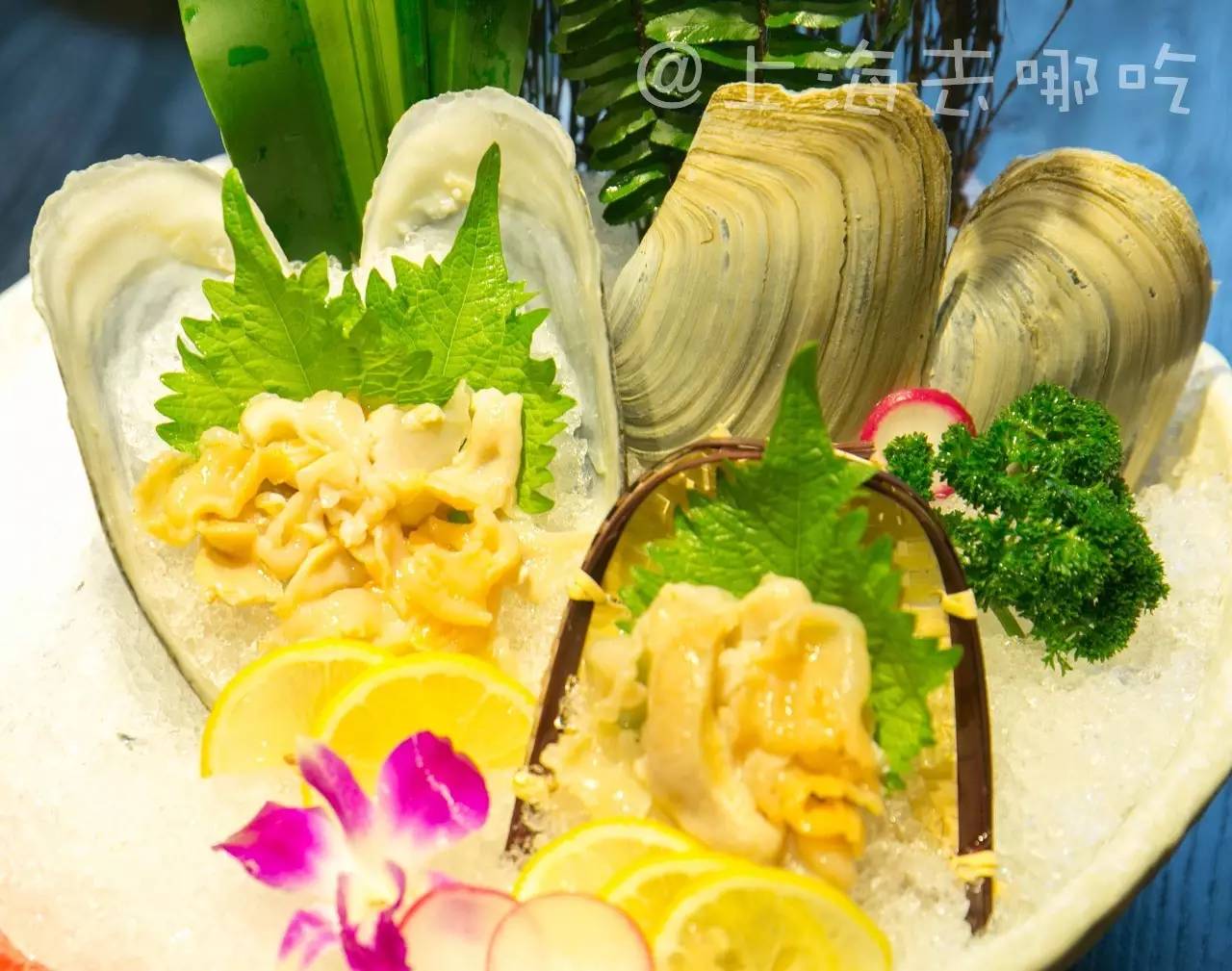 拔草魔都这家日料店,上海性价比高的日料自助