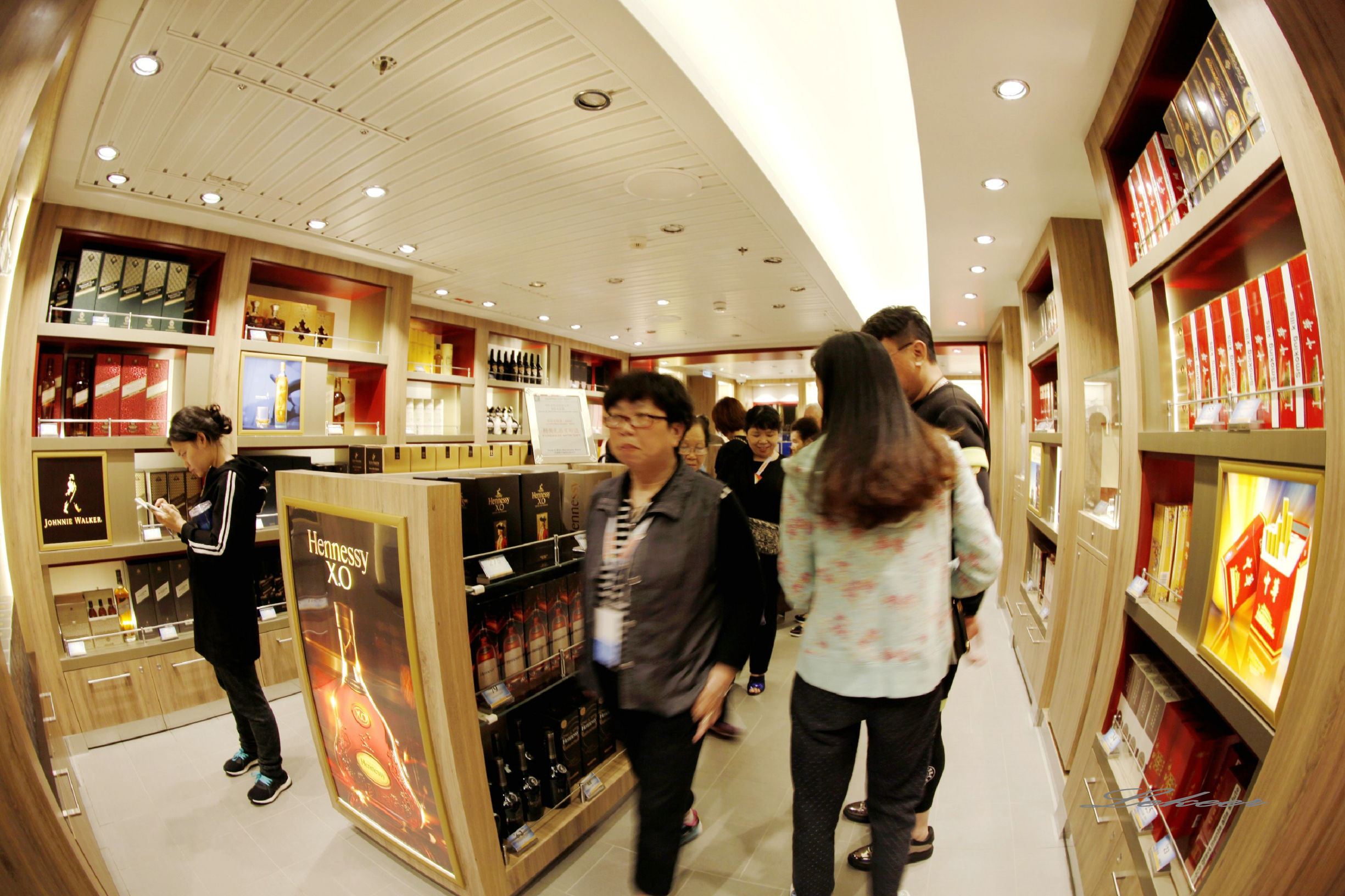 海洋量子号游记,如何乘坐海洋量子号