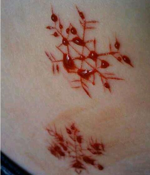 宋茜直播扛起大糖葫芦,宋茜第一次见面吃香菜