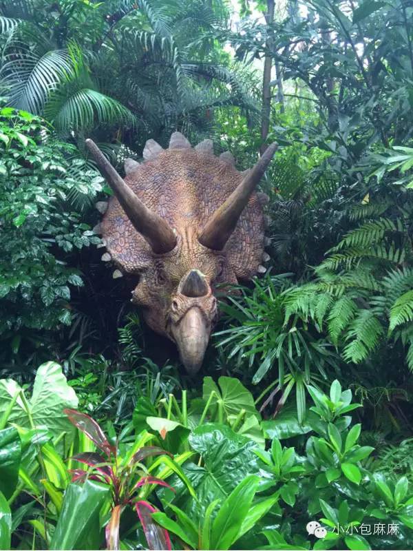 珠海长隆动物园游记,游记长隆动物园