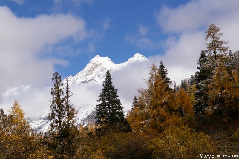 古道，细雨，暮雪-我的长坪沟半截秋色之旅
